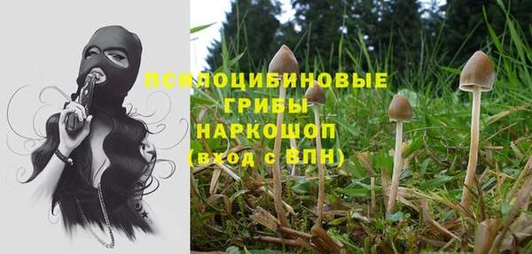 эйфоретик Алзамай