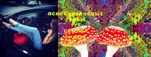мдпв Абинск
