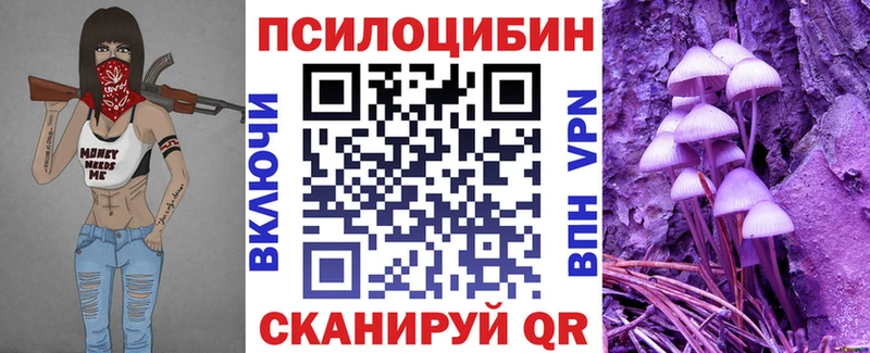 купить наркотики сайты  Змеиногорск  Галлюциногенные грибы мицелий 